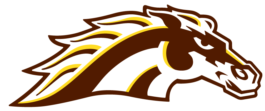 Western Michigan Broncos 2021-Pres Secondary Logo DIY iron on transfer (heat transfer)